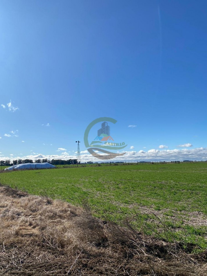 431 Ha Agricolas - De la Canal - Tandil