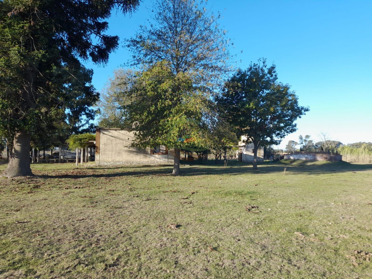 20,7 Ha Mixto - Bolivar