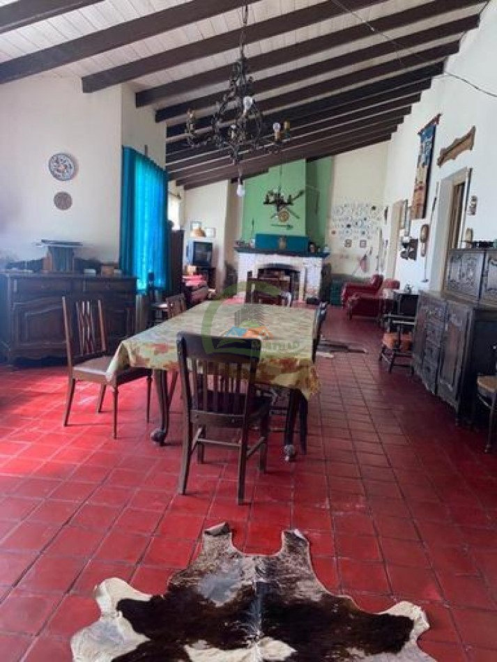 907 Ha Ganadero - Espigas - Olavarria