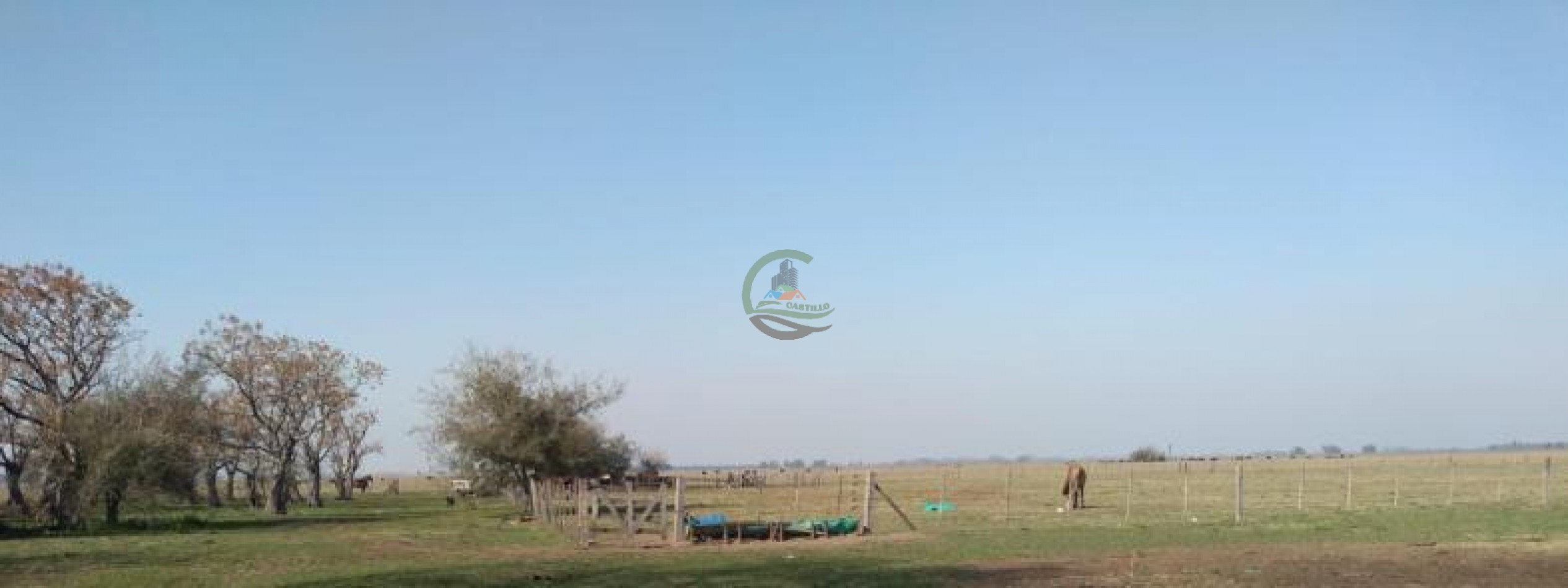 286 Ha Ganadero - Cañuelas - Gdor Udaondo
