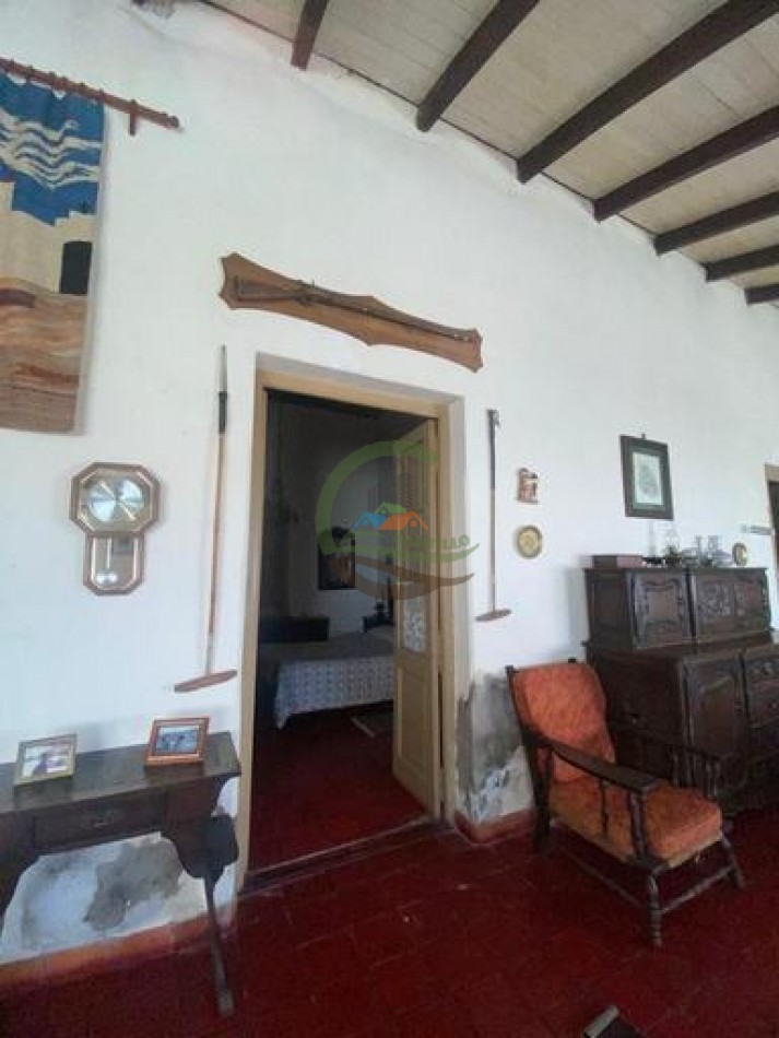 907 Ha Ganadero - Espigas - Olavarria