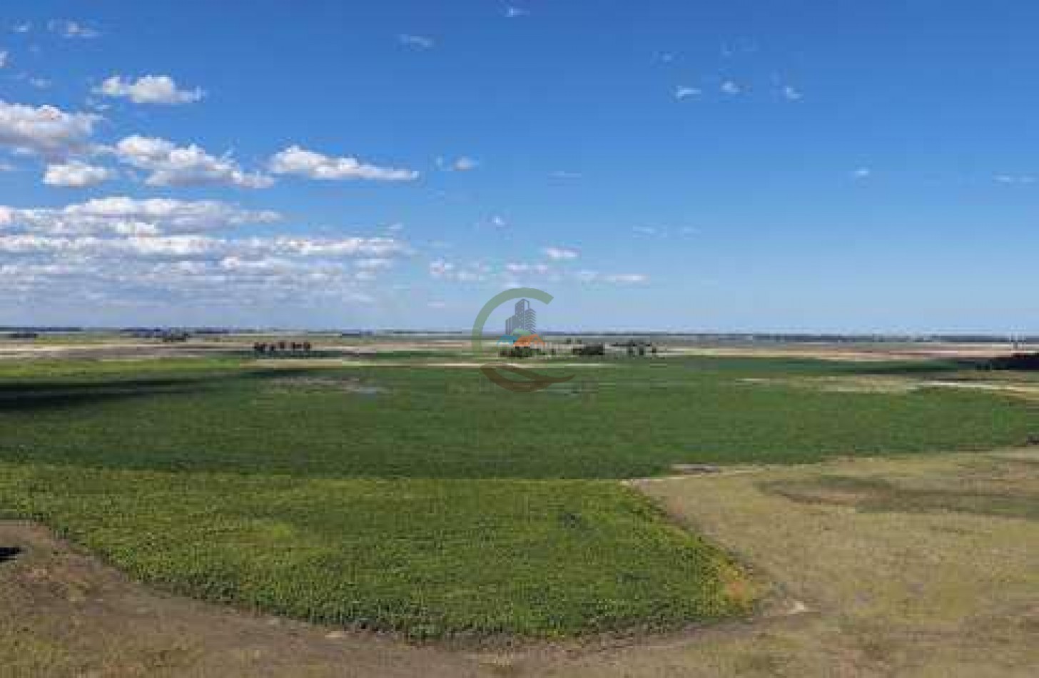 2057 Ha Mixto - Loberia