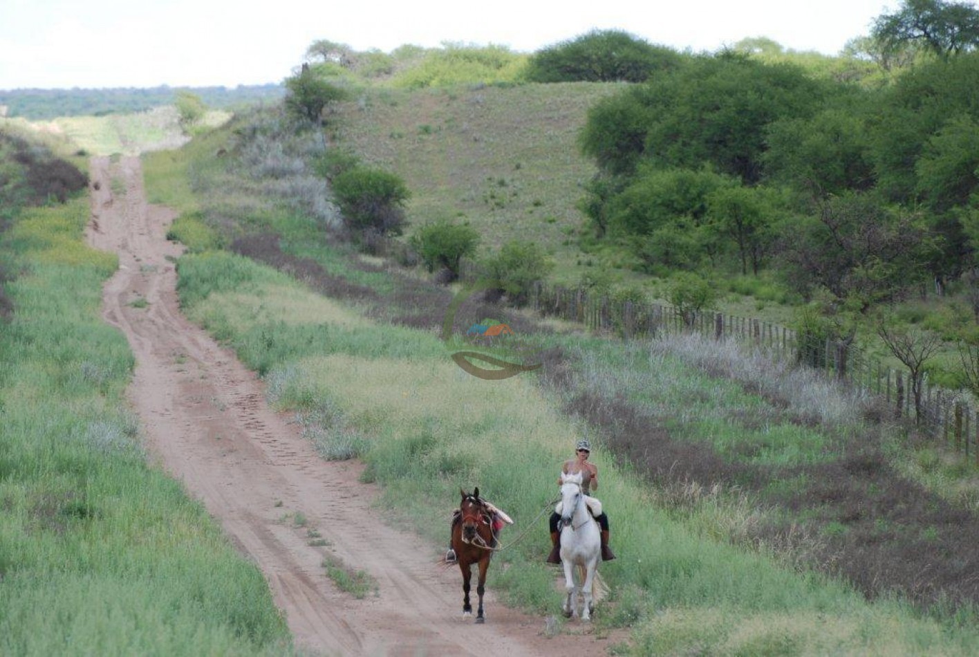 2500 Ha Ganadero - Coto de Caza - Colonia Devoto - La Pampa