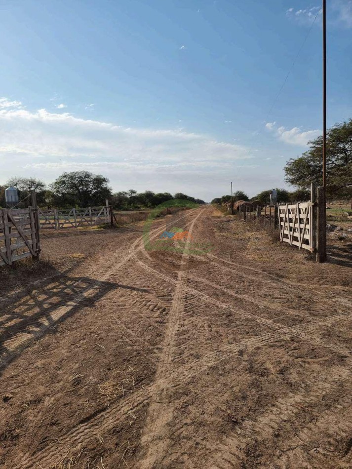 400 Ha Ganaderas - Gregoria Perez de Denis - Santa Fe