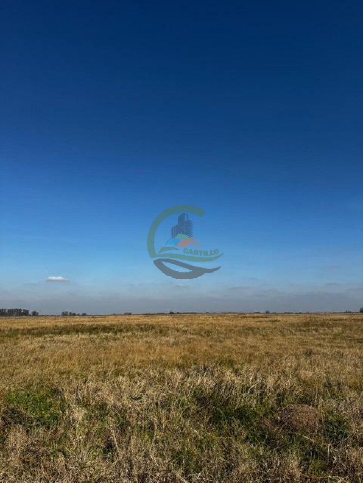 252 Ha Mixto - Mercedes