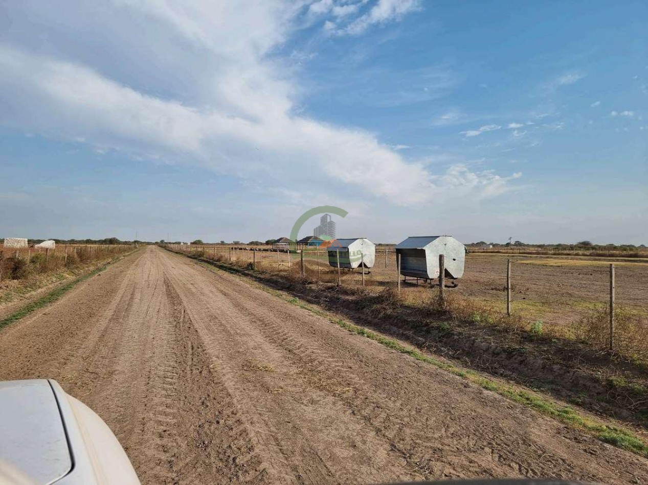 400 Ha Ganaderas - Gregoria Perez de Denis - Santa Fe