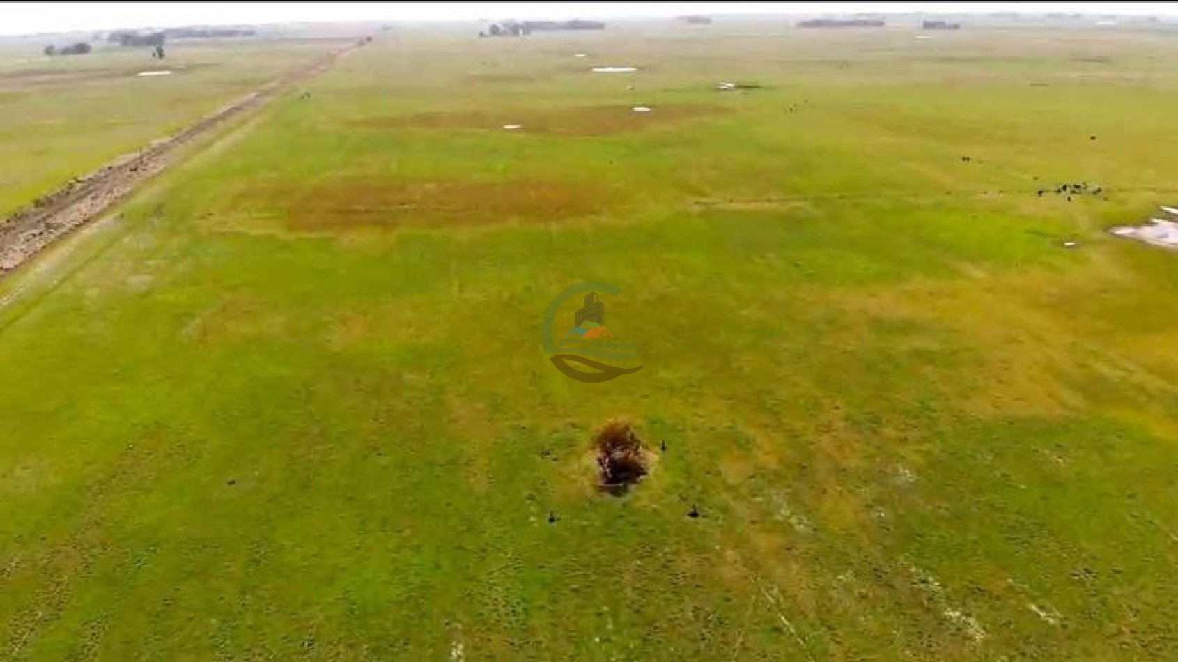 205 Ha Mixto -- Harosteguy - Las Flores