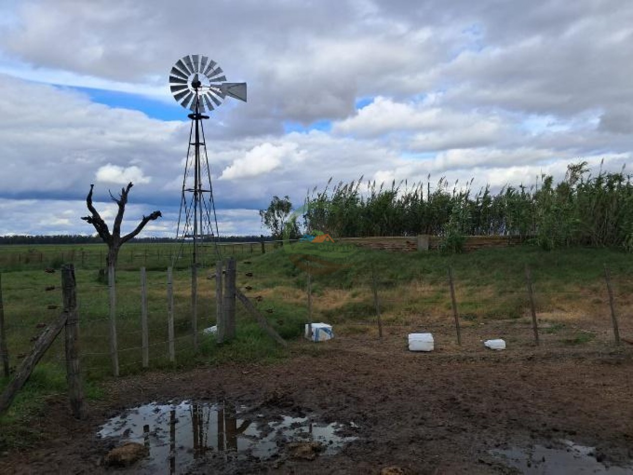 441 Ha Mixto - General Villegas