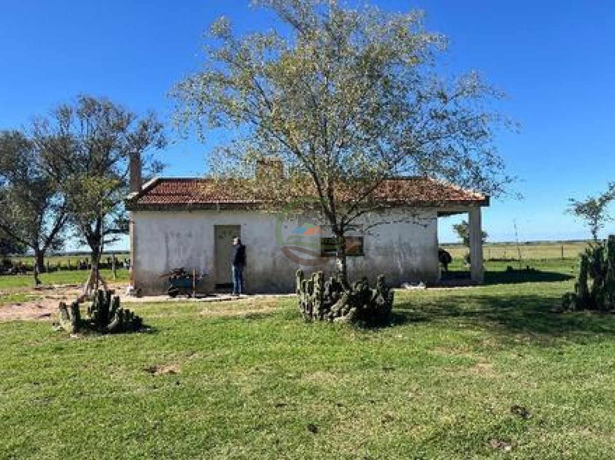 521 Ha Mixto - Toay - La Pampa