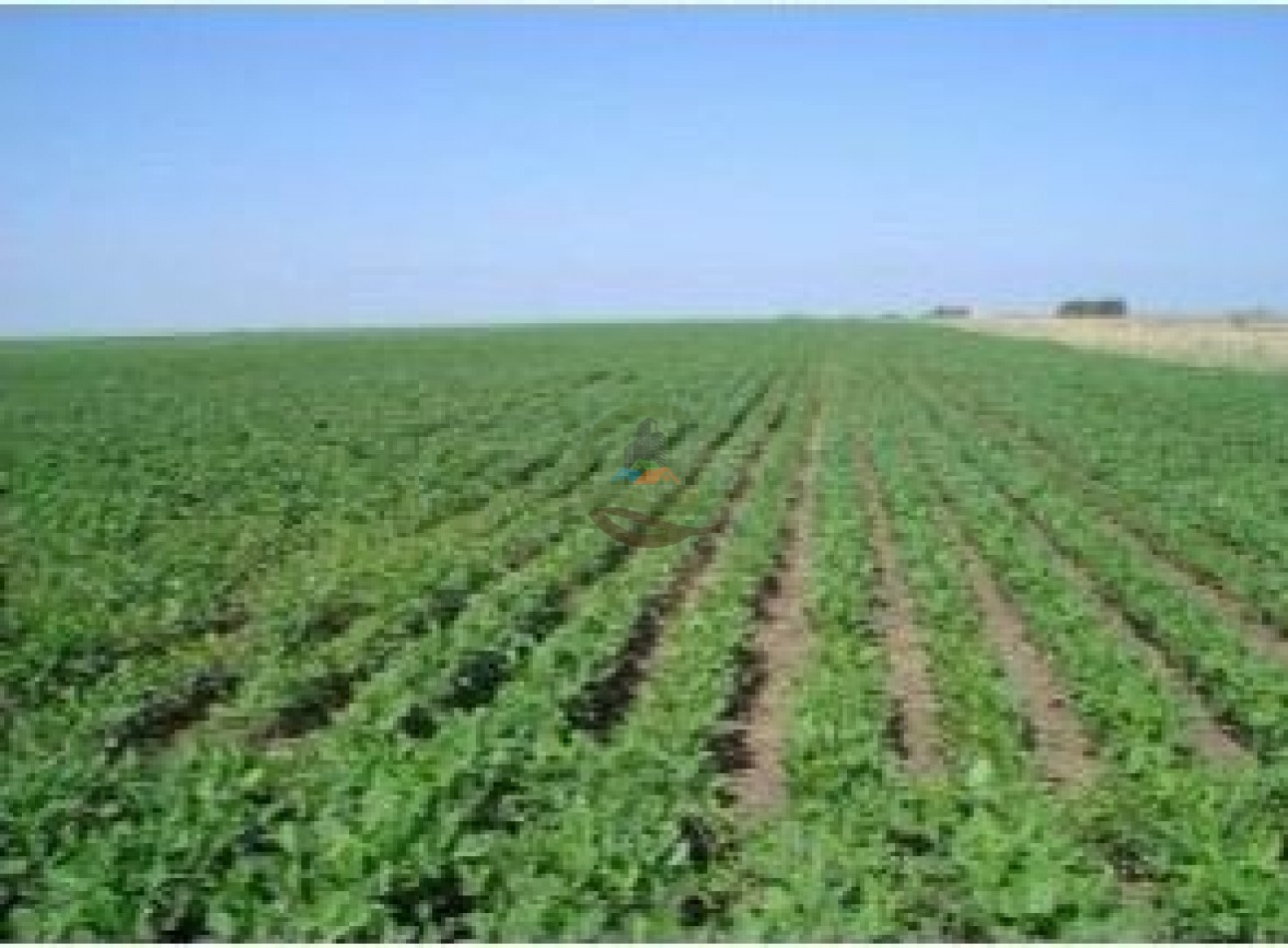 639 Ha Mixtas - Murphy - Santa Fe