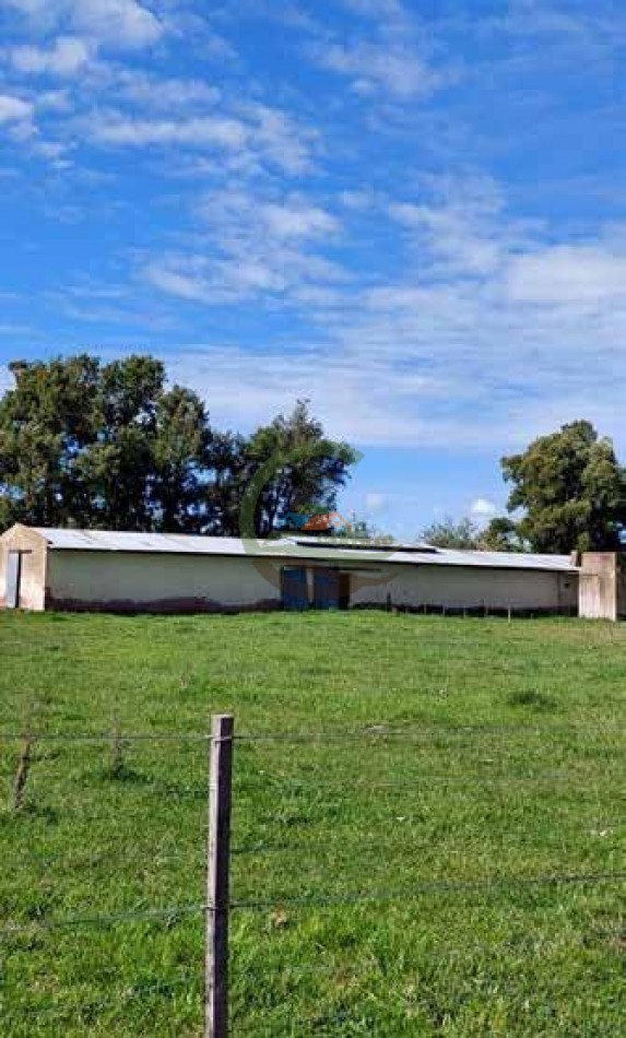 205 Ha Mixto -- Harosteguy - Las Flores