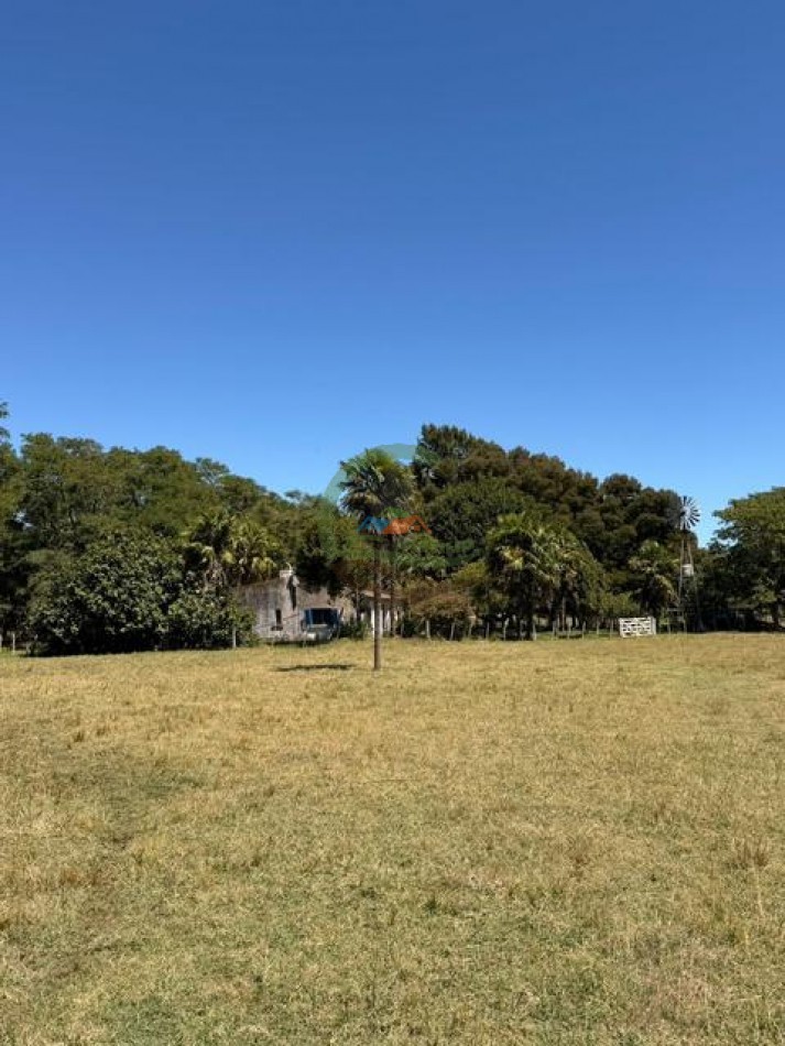 469 Ha Mixto - Chascomus