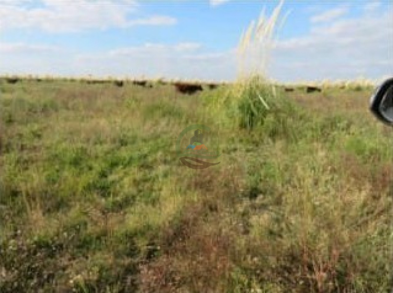 342 Ha Mixtas - San Miguel del Monte