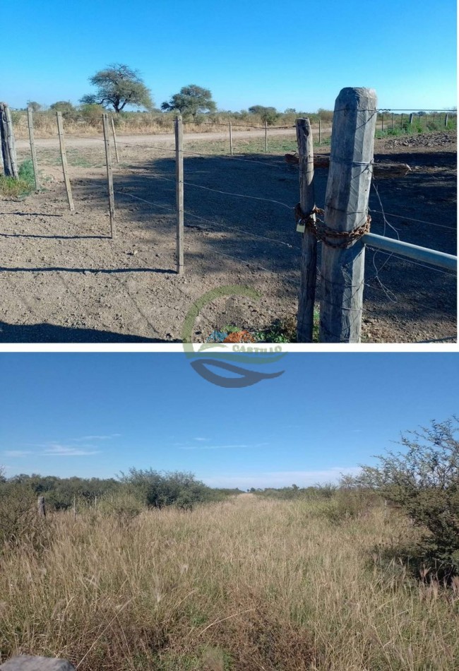 760 Ha Ganadero -  Malbran - Santiago del Estero