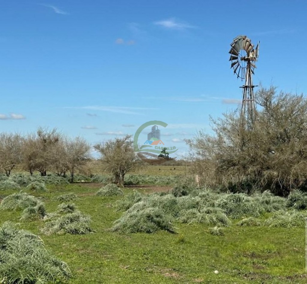 220 Ha Ganadero - Oliden - Brandsen