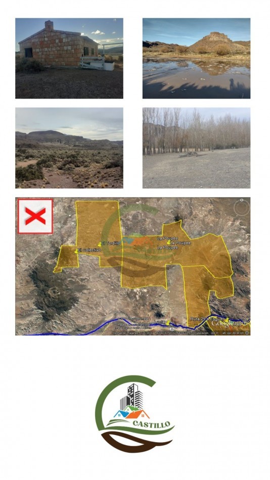 59000 ha Ganadero - Chubut