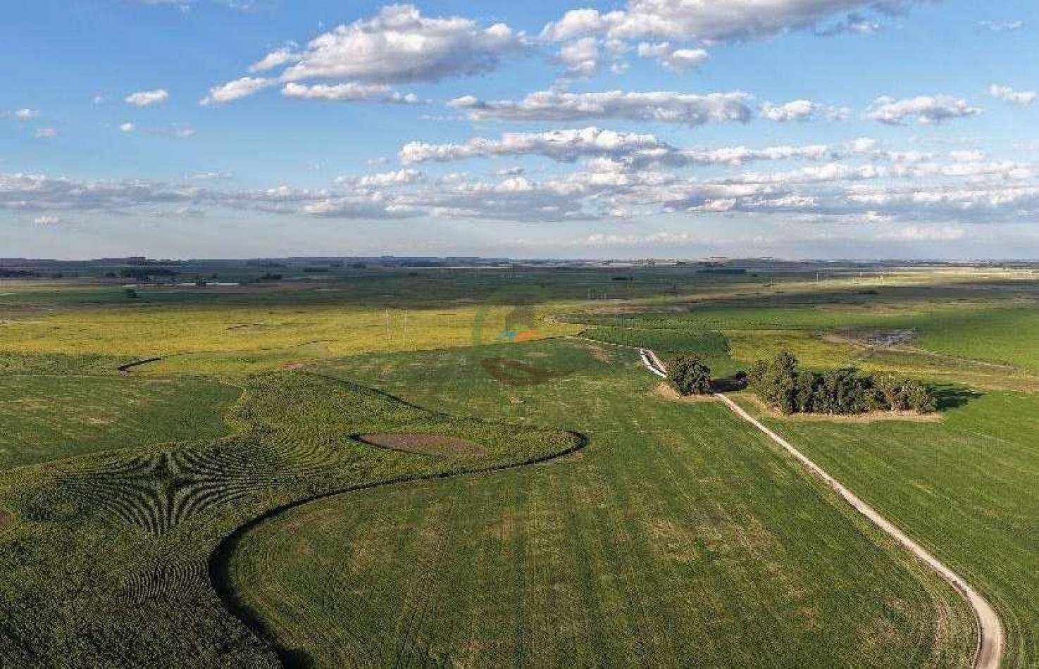 2057 Ha Mixto - Loberia