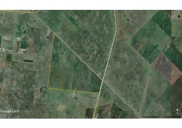 450 Ha Ganadero - Gral Alvear