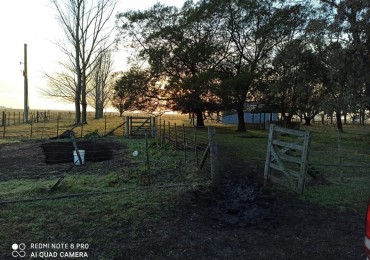 617 ha Mixtas - Martin Colman - Rauch