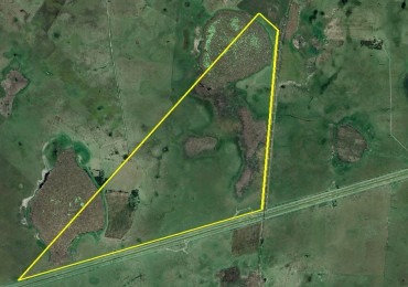 496 Ha Mixto - Dolores