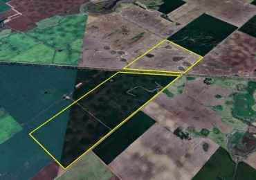 170 ha Agricolas - Junin