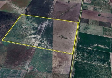 210 ha Agrciolas - Cintra - Cordoba