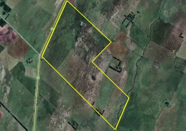 290 Ha Mixto - Rauch