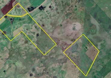 297 Ha Mixto - Ayacucho