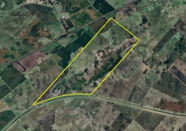 298 Ha Mixto - Saladillo