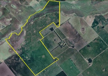 338 Ha Mixto - Rojas