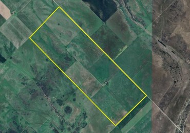 500 Ha Mixta - Puan