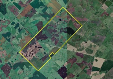 1156 Ha Mixto - Ayacucho