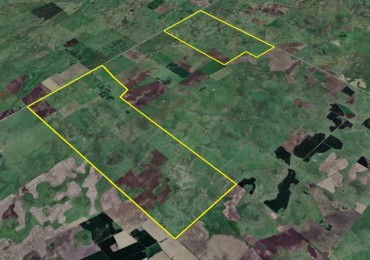 1344 Ha Mixto - Ayacucho