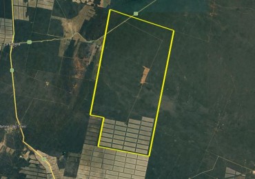 11800 Ha Mixto - La Estrella - Salta