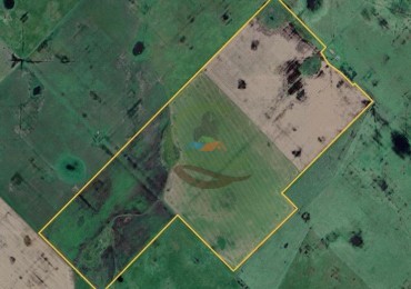 150 Ha Agricolas - Olavarria 