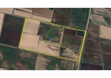 75 ha Agricolas - Los Cerrillos - Cordoba