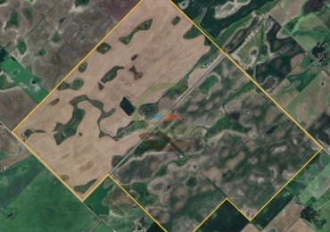 330 Ha Agricolas - Del Valle - Bolivar 