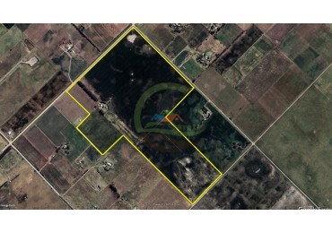 73 Ha Agricolas - Pehuajo