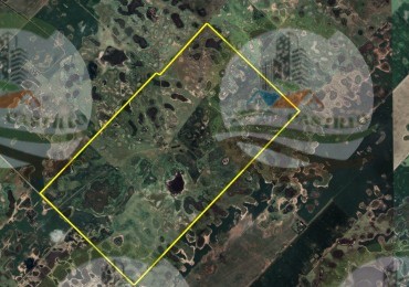785 Ha Mixto - Carlos Casares