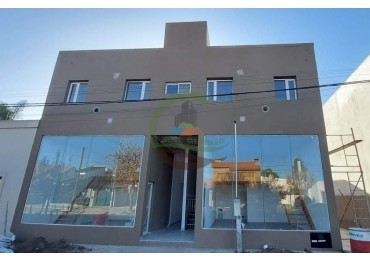 Local Comercial - Treque Lauquen