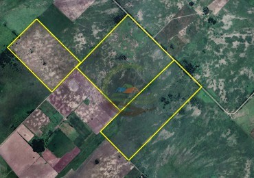 220 Ha Ganadero - Oliden - Brandsen