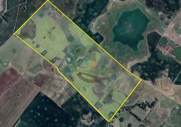 342 Ha Mixtas - San Miguel del Monte