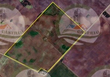 96 Ha Mixto - Paraje El Cabildo - Bolivar