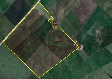 102 Ha Agricolas - Tedin Uriburu - Benito Juarez