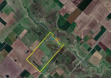 155 ha mixto - Villa Angelica - Pergamino