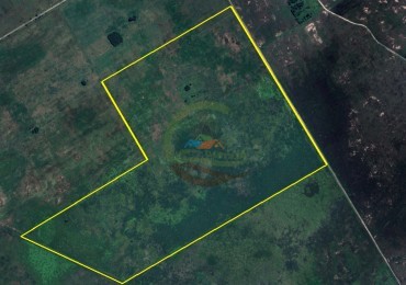 84 Ha Mixto - San Vicente