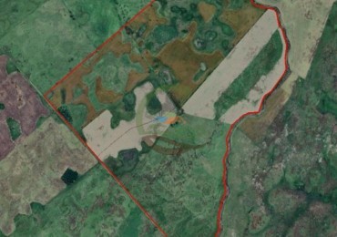 440 Ha Mixta - Crotto - Tapalque