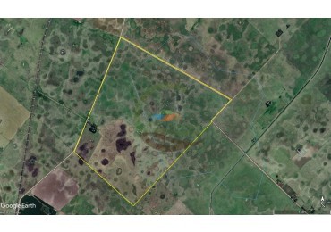 422 Ha Mixto - Las Flores