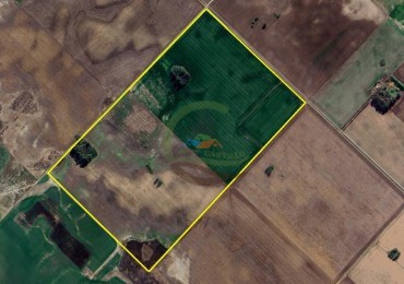78 Ha Agricolas - Bragado