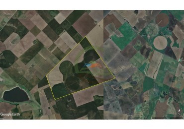 865 Ha Agricolas - Pasman - Coronel Suarez